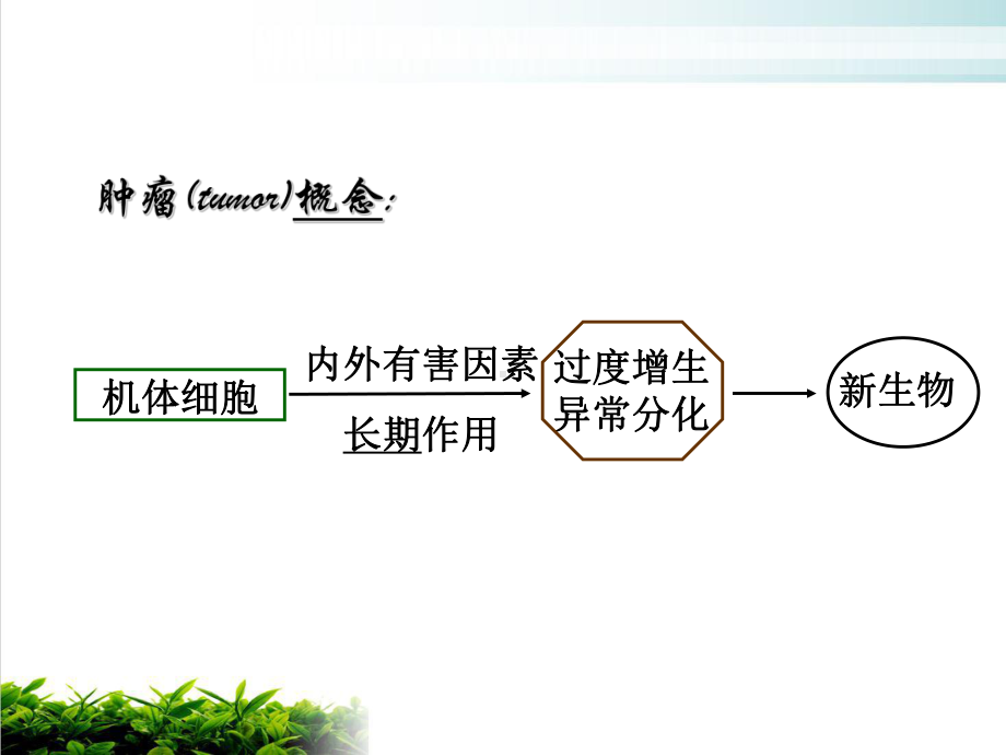 第十肿瘤病人的护理优质课件.ppt_第3页