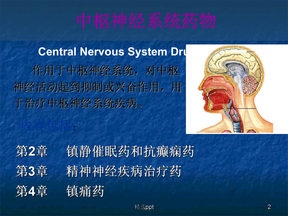 药物化学CJ镇静催眠药抗癫痫药抗精神失常药课件.ppt_第2页