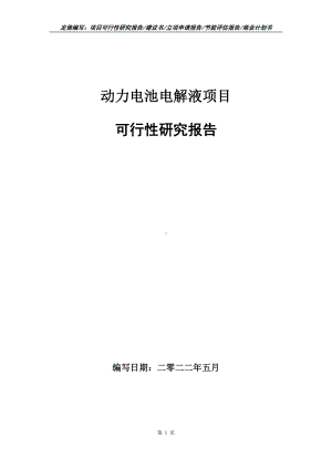 动力电池电解液项目可行性报告（写作模板）.doc