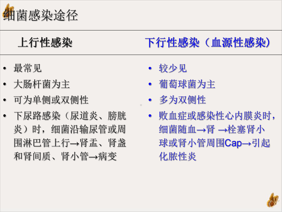 病理对比题实用课件.pptx_第3页