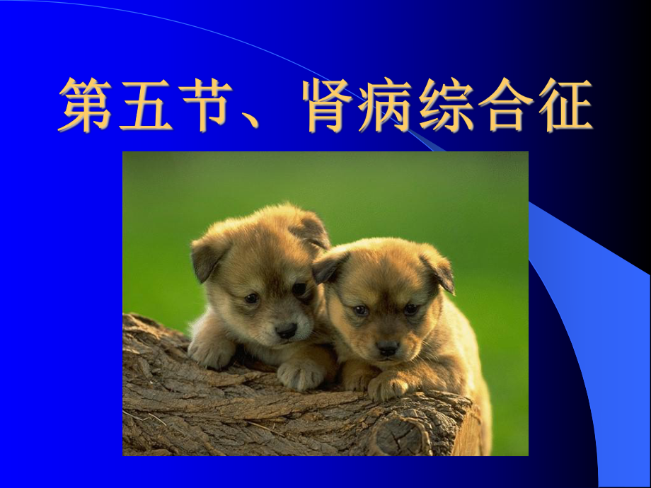 肾病综合征8-1-课件.ppt_第1页