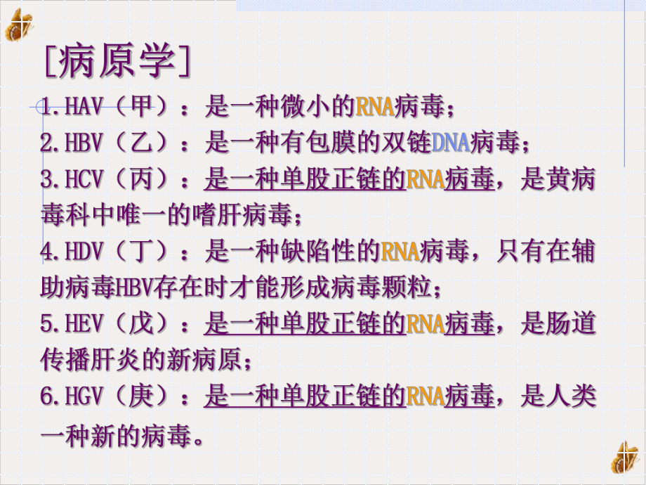 病毒性肝炎传染病学实用课件.pptx_第3页