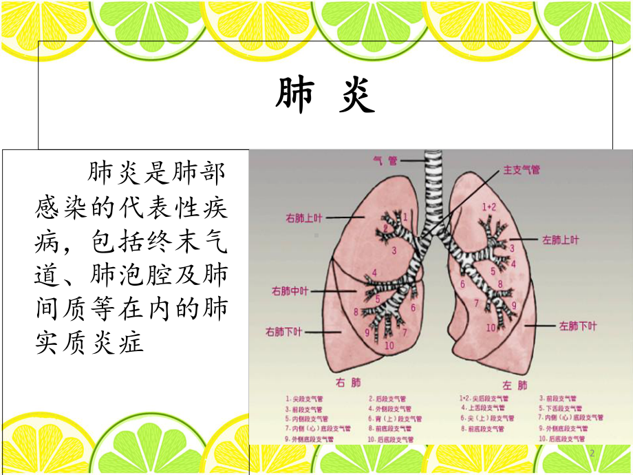 肺部感染1课件.ppt_第2页