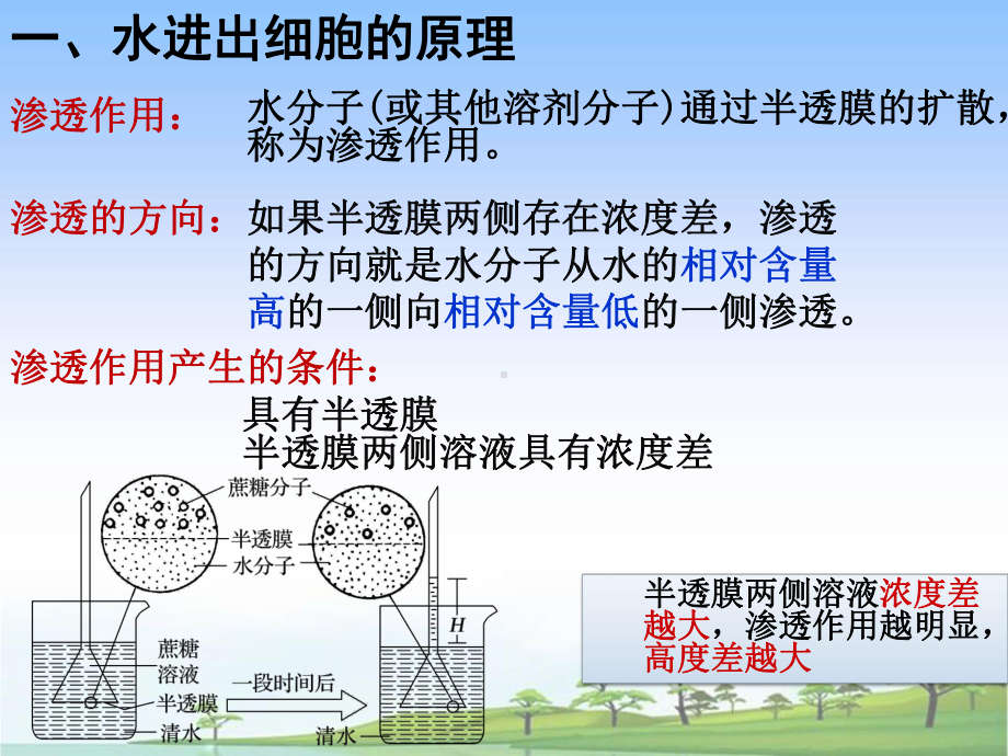 被动运输（新教材）人教版高中生物必修一教学课件.pptx_第3页