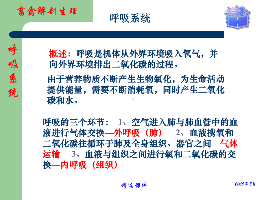 畜禽解剖生理第6章呼吸系统课件整理.ppt_第2页