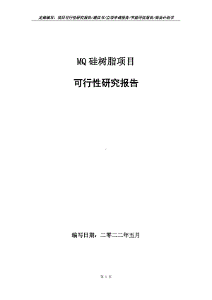 MQ硅树脂项目可行性报告（写作模板）.doc