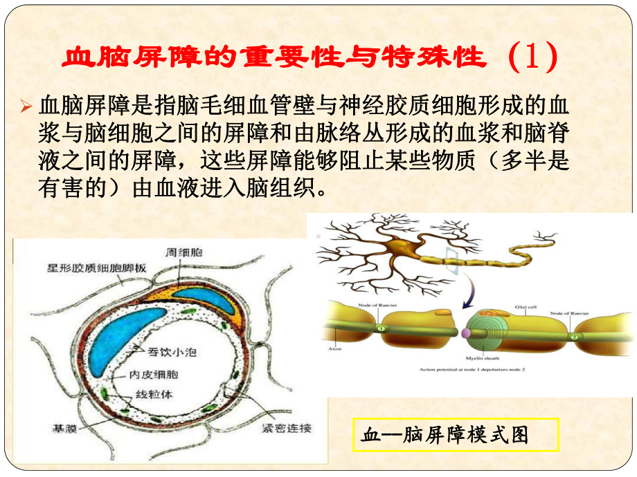 神经内科补液讲座课件.pptx_第3页