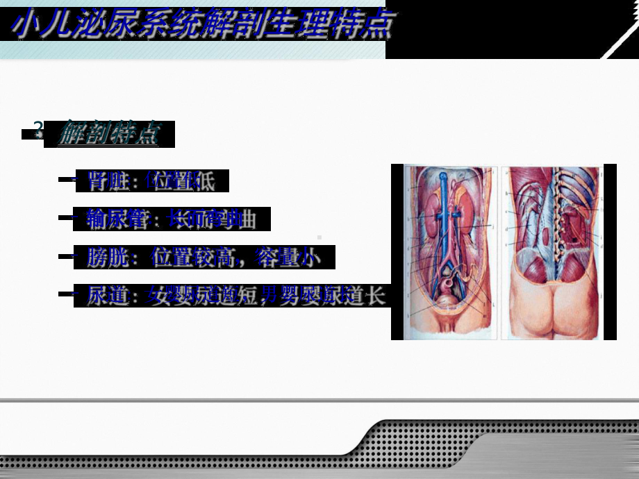 荟萃11-第十一章-泌尿系统疾病患儿的护理课件.ppt_第2页