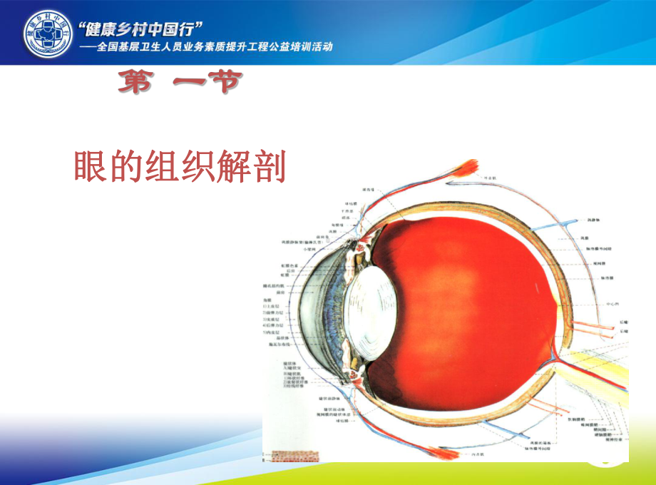 眼科学基础(本科)课件.ppt_第3页