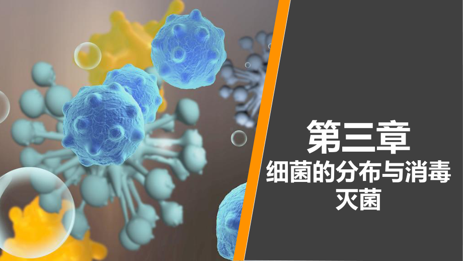 病原生物学与免疫学-第三章课件.ppt_第1页