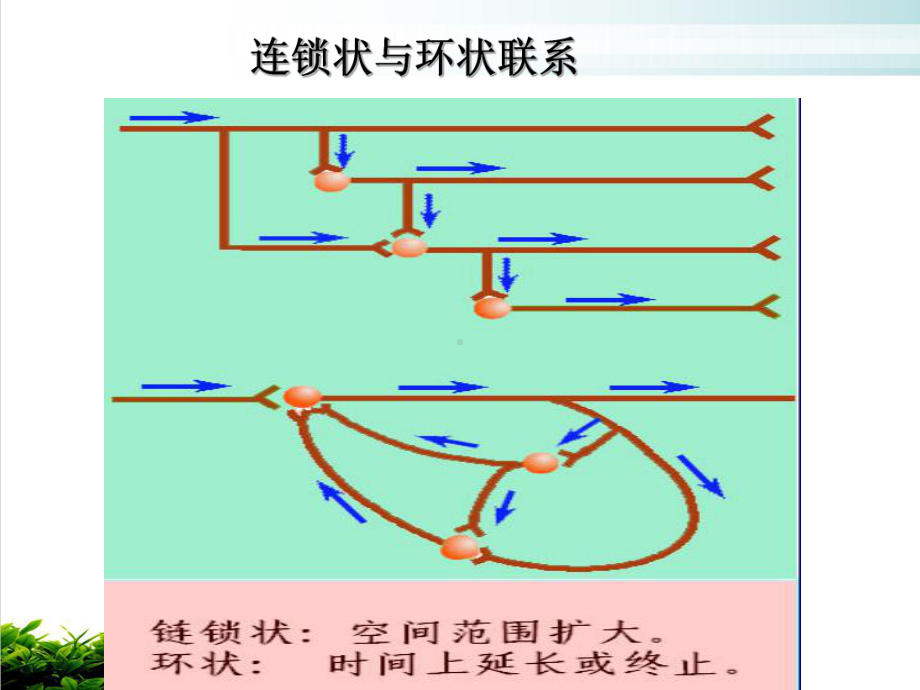 第四节神经系统活动的一般规律课件.ppt_第3页