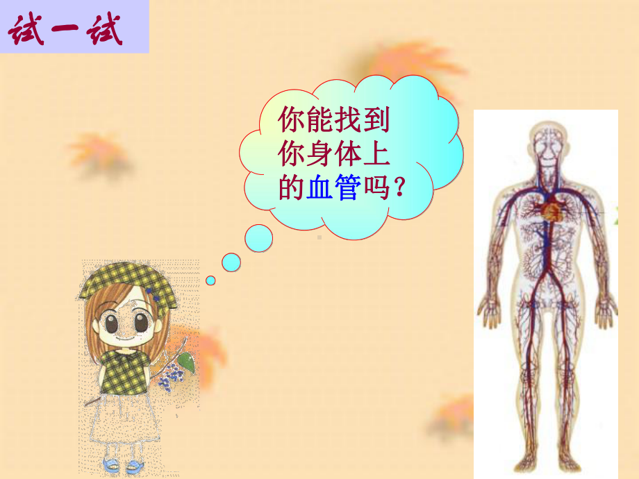 第十四章第一节血管课件.ppt_第3页