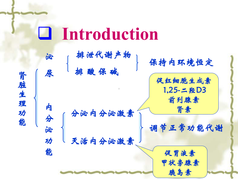 第十二章肾衰竭课件.ppt_第2页