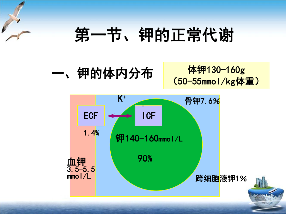 病理生理学钾代谢紊乱精选课件.ppt_第3页