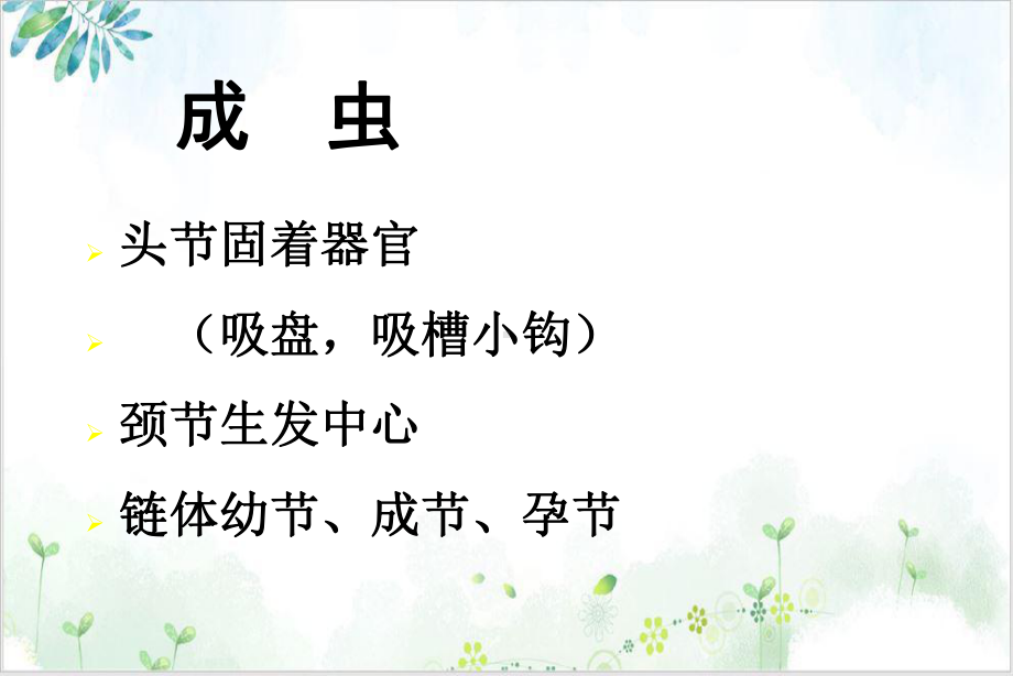 绦虫医学微生物学示范课件.ppt_第3页