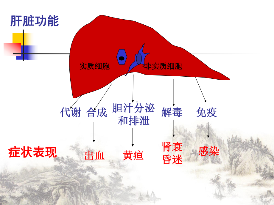 病理生理肝功能衰竭讲课课件.pptx_第1页