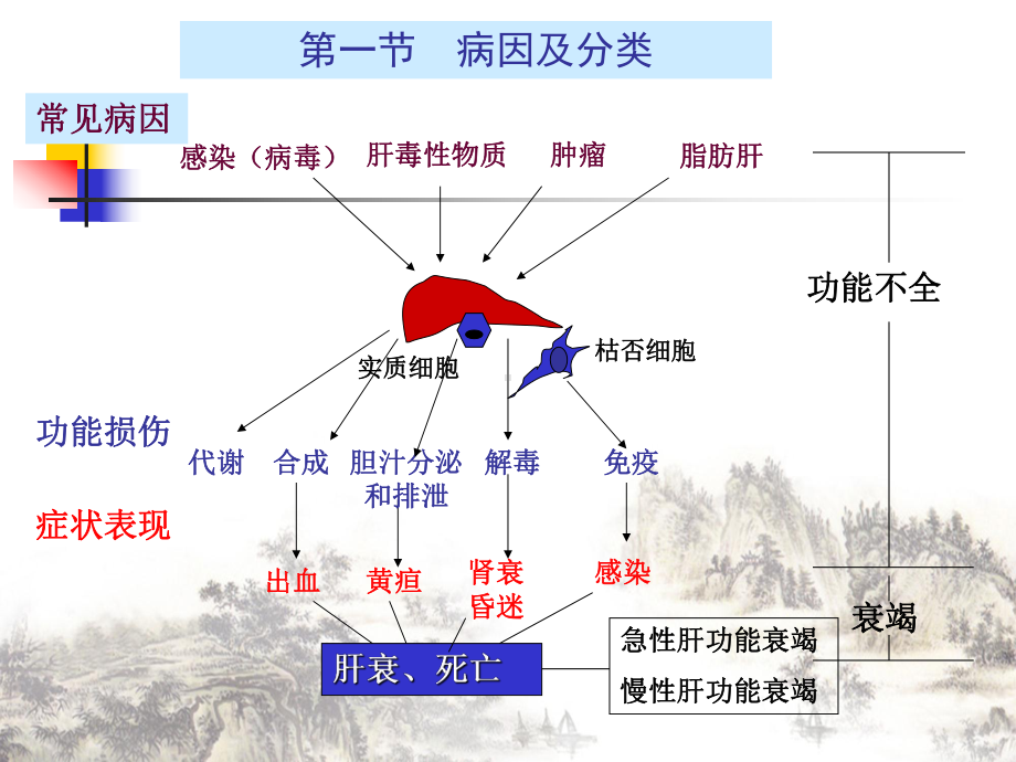 病理生理肝功能衰竭讲课课件.pptx_第3页