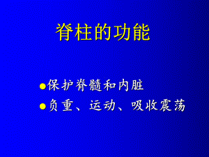 脊柱脊髓伤与骨盆骨折课件.ppt