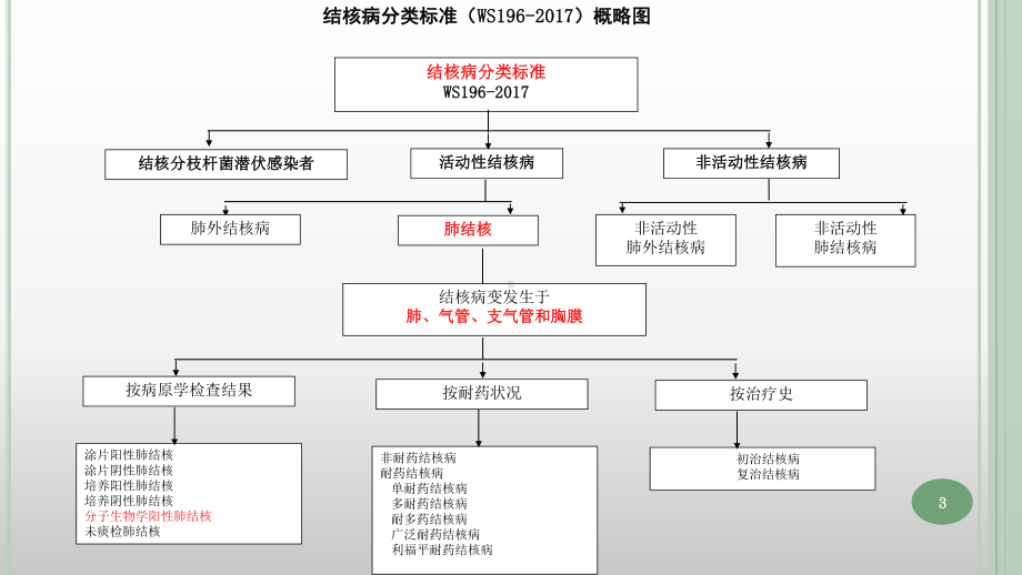 结核病分类诊断及管理课件.ppt_第3页