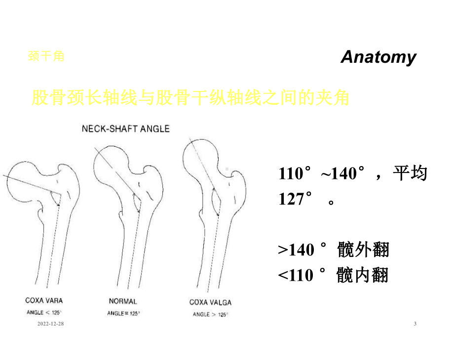 股骨颈骨折-课件.ppt_第3页