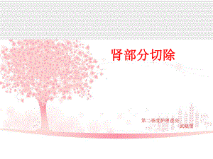 肾部分切除护理查房(同名897)课件.ppt