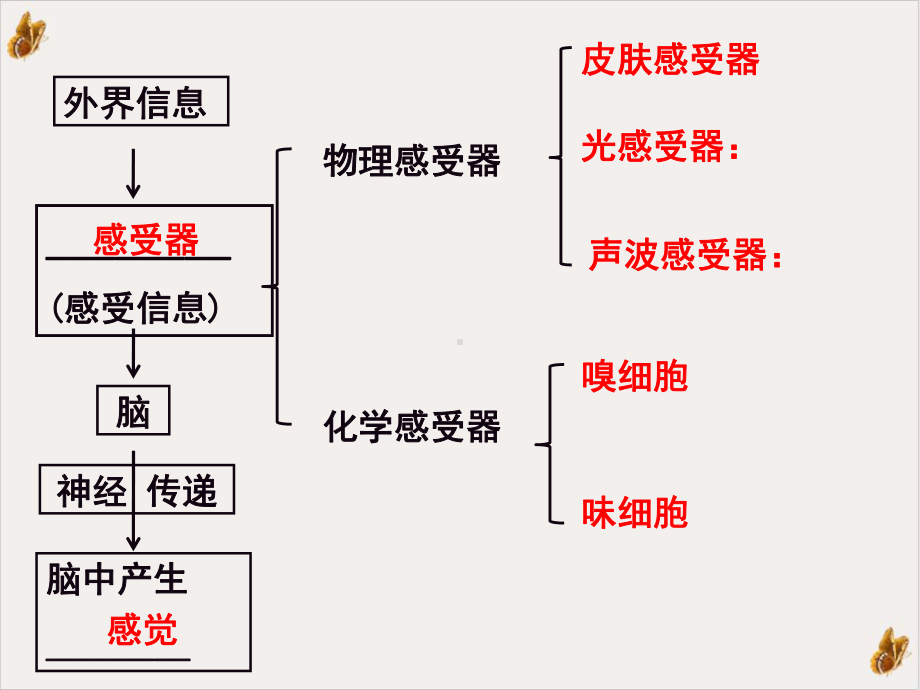 神经系统中信息的传递和调节课用课件.pptx_第1页