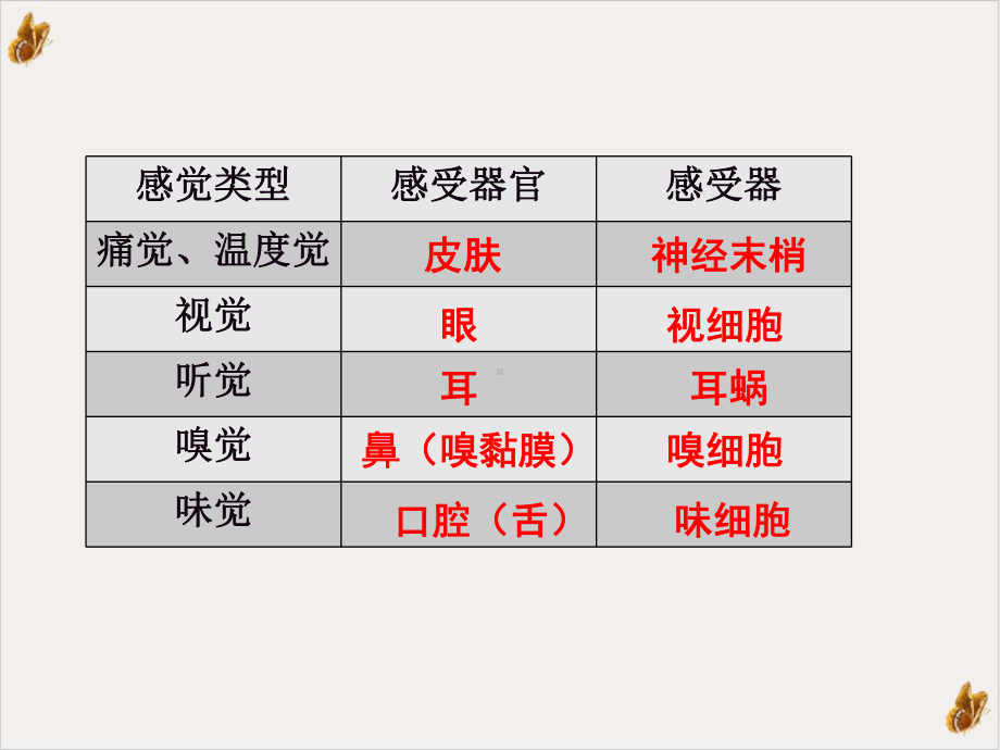 神经系统中信息的传递和调节课用课件.pptx_第2页