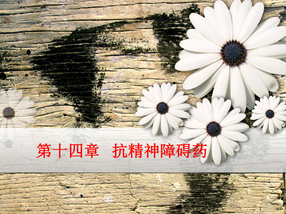 药理学第14章抗精神障碍药课件.ppt_第1页