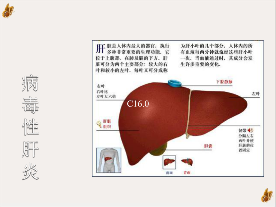 病毒性肝炎科普课件.pptx_第2页