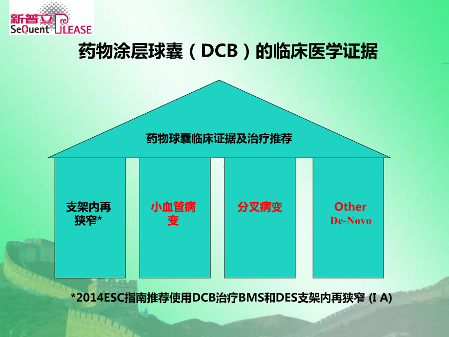 药物涂层球囊在原发病变的临床应用价值课件.ppt_第2页