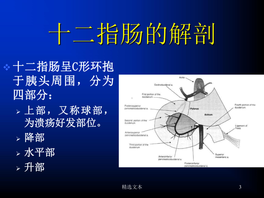 胃癌围手术期的护理课件.ppt_第3页