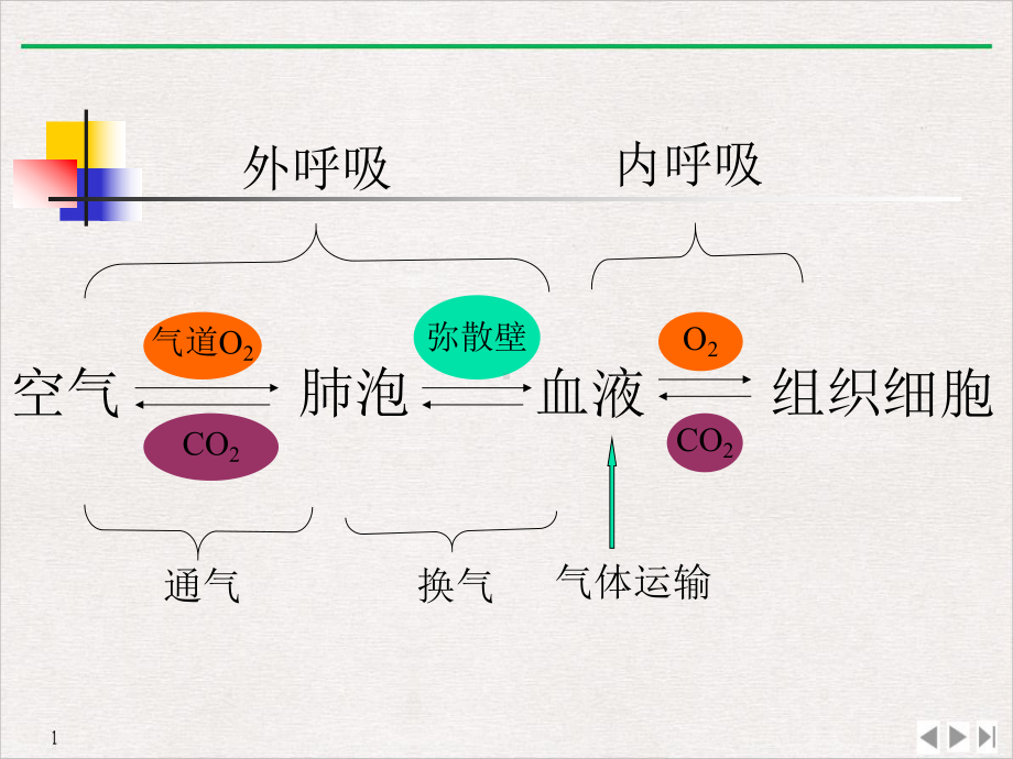 病理生理呼吸衰竭实用版课件.pptx_第1页