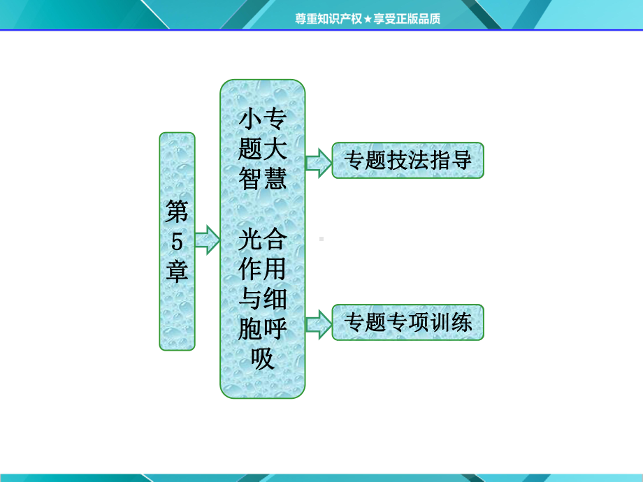 第1部分第5章小专题大智慧光合作用与细胞呼吸课件.ppt_第1页