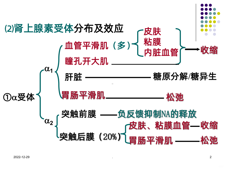 肾上腺素受体激动药课件整理.ppt_第2页