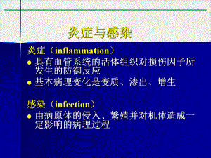 社区获得性肺炎1课件精美版.pptx