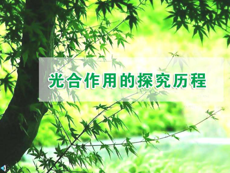 苏教版高中生物必修一-光合作用的过程课件.ppt_第1页