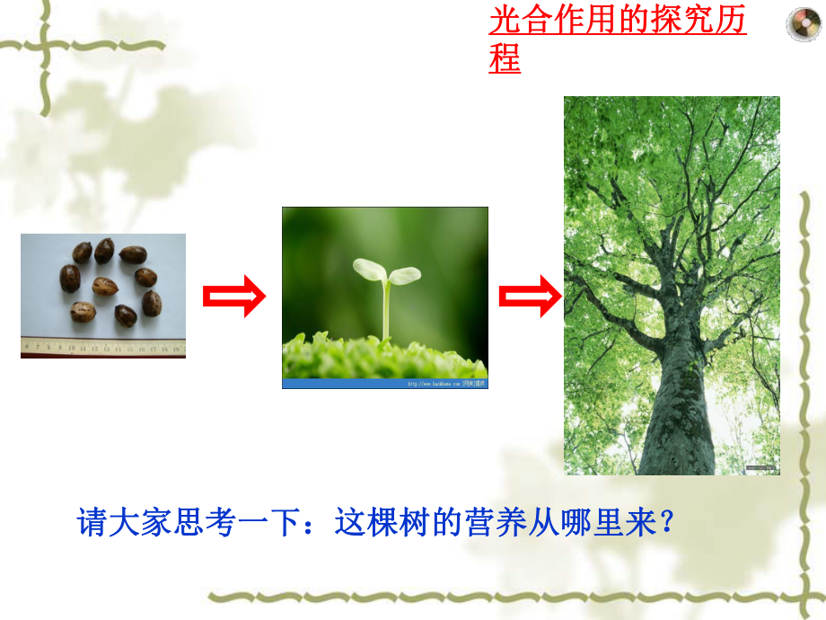 苏教版高中生物必修一-光合作用的过程课件.ppt_第2页