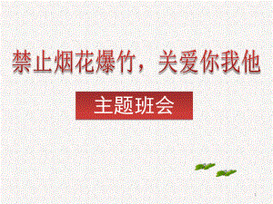 禁止燃放烟花爆竹主题班会教学课件.ppt