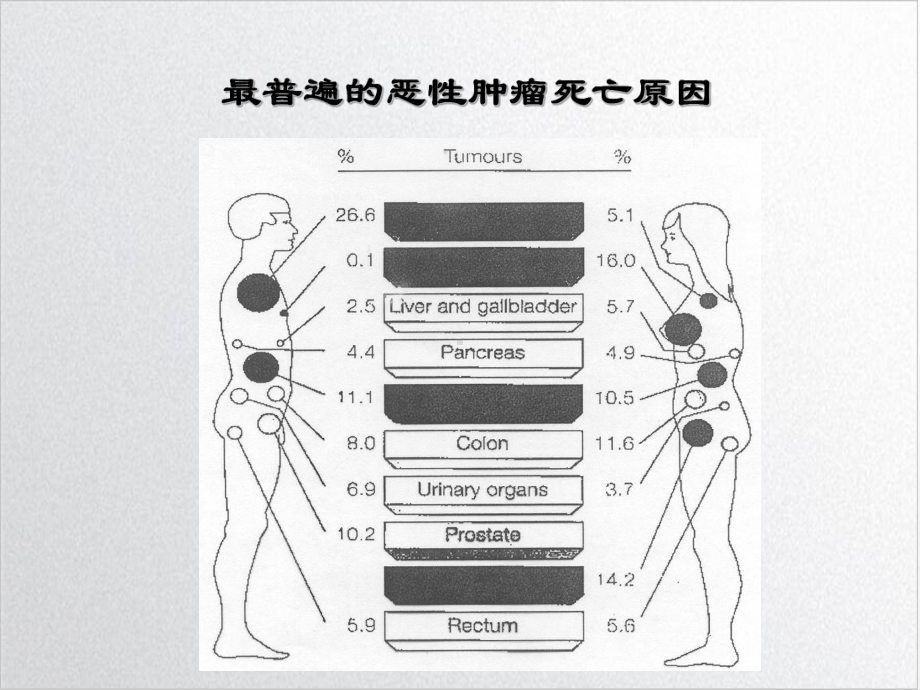 癌症肿瘤免疫学应用课件.ppt_第3页