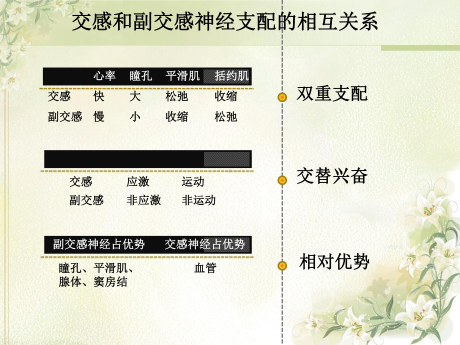 第章自主神经系统药理学概论讲课教案课件.ppt_第2页