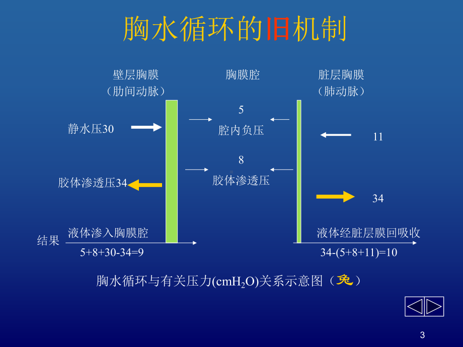 胸腔积液-2课件.ppt_第3页