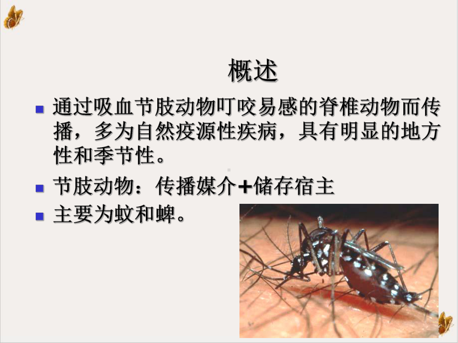 虫媒病毒出血热病毒课件整理.ppt_第2页