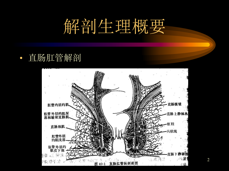 直肠肛管疾病课件整理.ppt_第2页