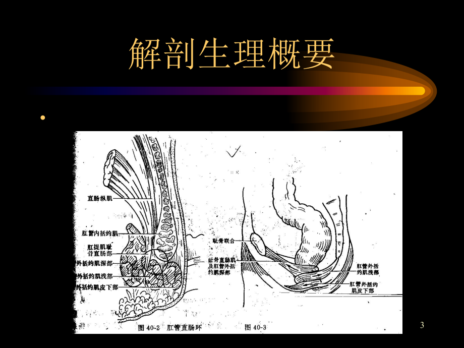 直肠肛管疾病课件整理.ppt_第3页