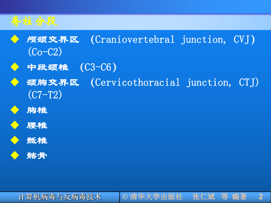 脊柱内固定的影像解剖学课件.ppt_第3页