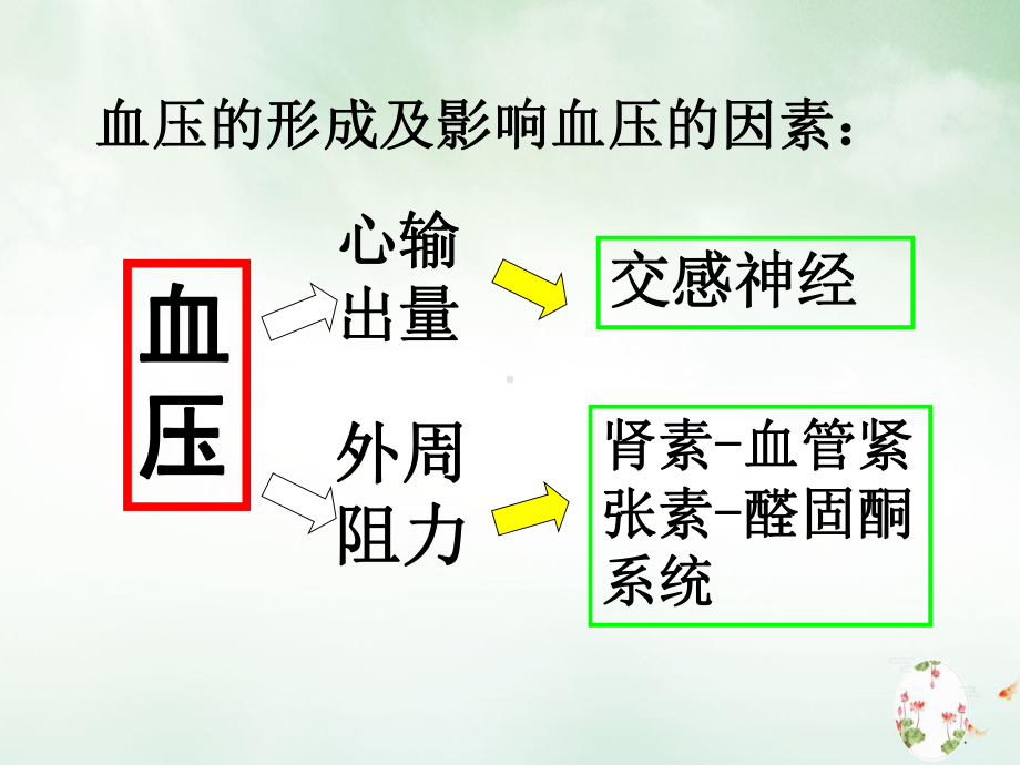 第抗高血压药物优质课件.ppt_第3页