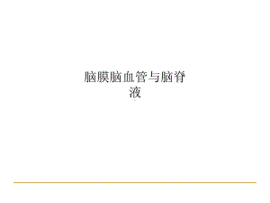 脑膜脑血管与脑脊液课件.ppt