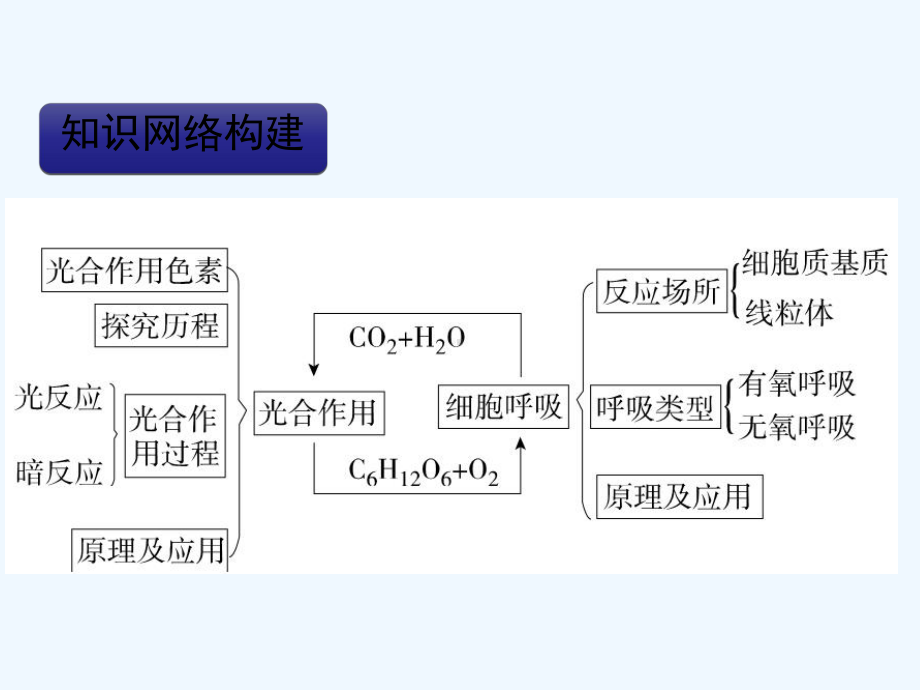 细胞呼吸与光合作用复习课件.ppt_第3页