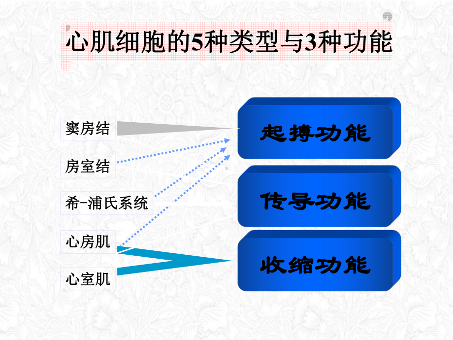 经典常见心电图诊断与临床课件.ppt_第3页