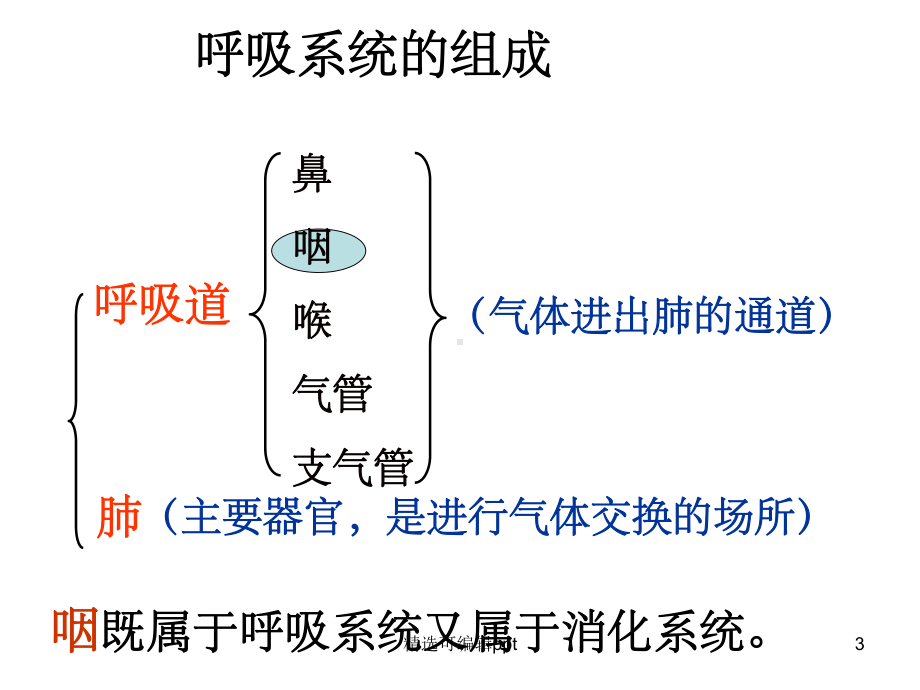 第三章人体的呼吸复习课件整理.ppt_第3页